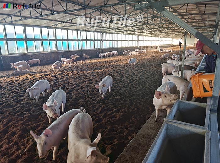 The Performance of Various Roof Tiles In Animal Husbandry