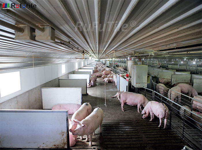 PVC Roof Sheet Is Recommended For Animal Husbandry